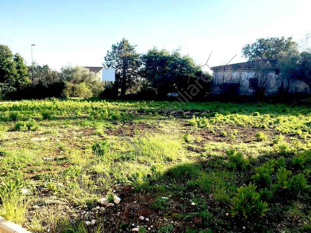 Terreno a Carinola in SAN RUOSI CERALDI - Foto 2