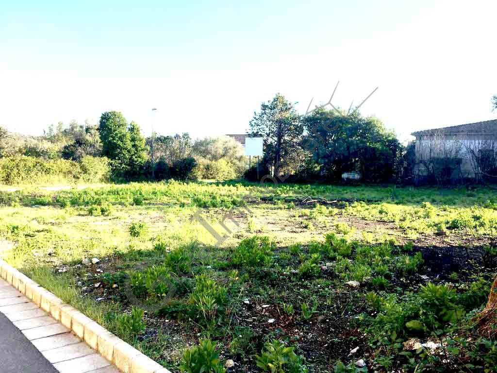 Terreno a Carinola in SAN RUOSI CERALDI - Foto 3
