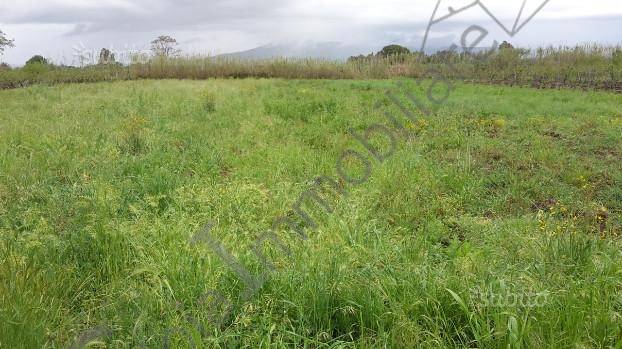 Terreno a Cellole in CELLOLE - Foto 2