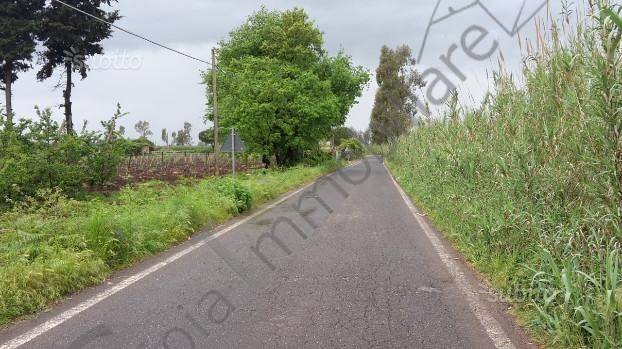 Terreno a Cellole in CELLOLE - Foto 5