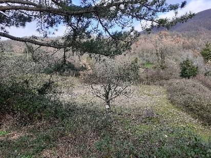 Rustico / casale a Cortona in Val di Pierle - Foto 3
