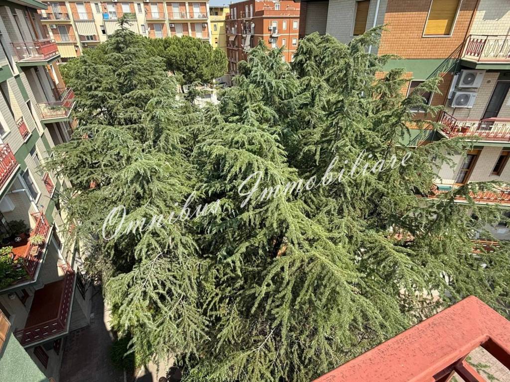 Appartamento a Foggia in Via Silvio Pellico, 5 - Foto 4