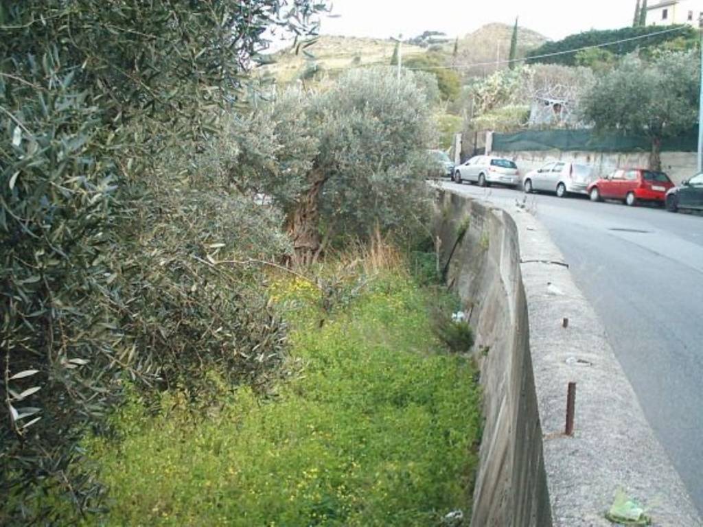 Terreno a Reggio calabria - Foto 3