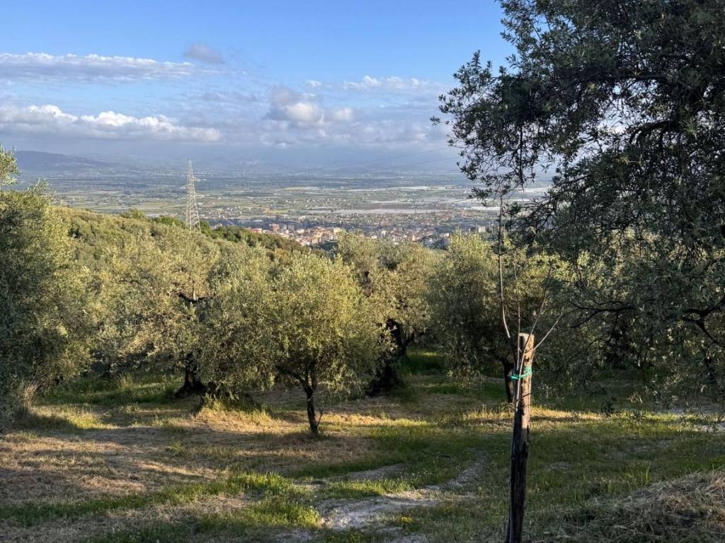 Rustico / casale a Eboli - Foto 4