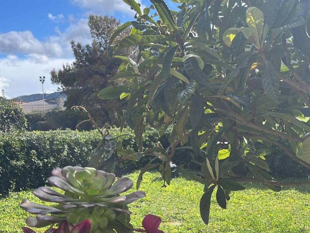 Appartamento a Livorno in Via Dino Provenzal, , 39 - Foto 5