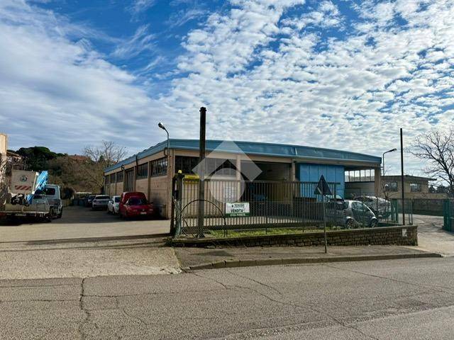 Immobile a Montefiascone in Via Giuseppe Contadini, 1 - Foto 4