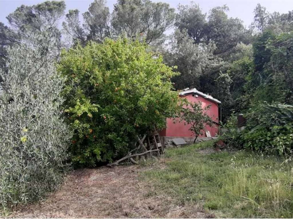 Terreno a Livorno in Via delle vallicelle - Foto 3