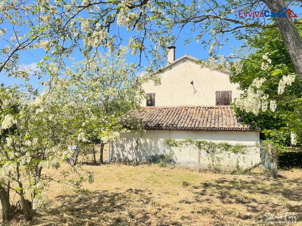 Rustico / casale a Trecastelli in Via San Francesco, 3 - Foto 2