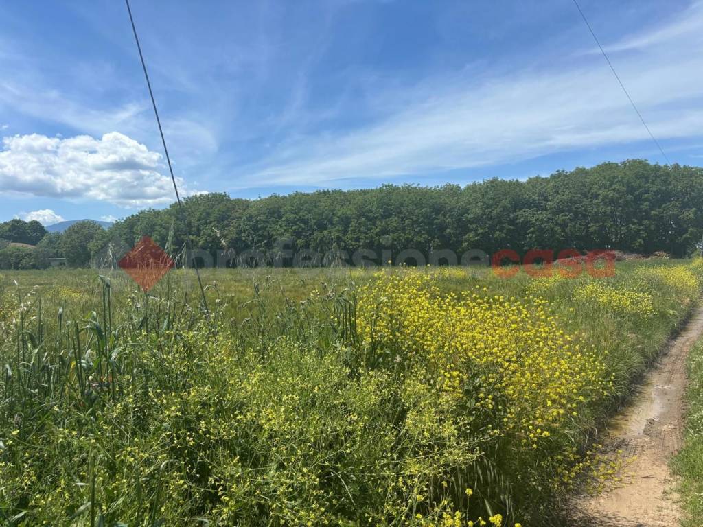 Terreno a Anagni in Via Ponte Degli Stivali, snc - Foto 2