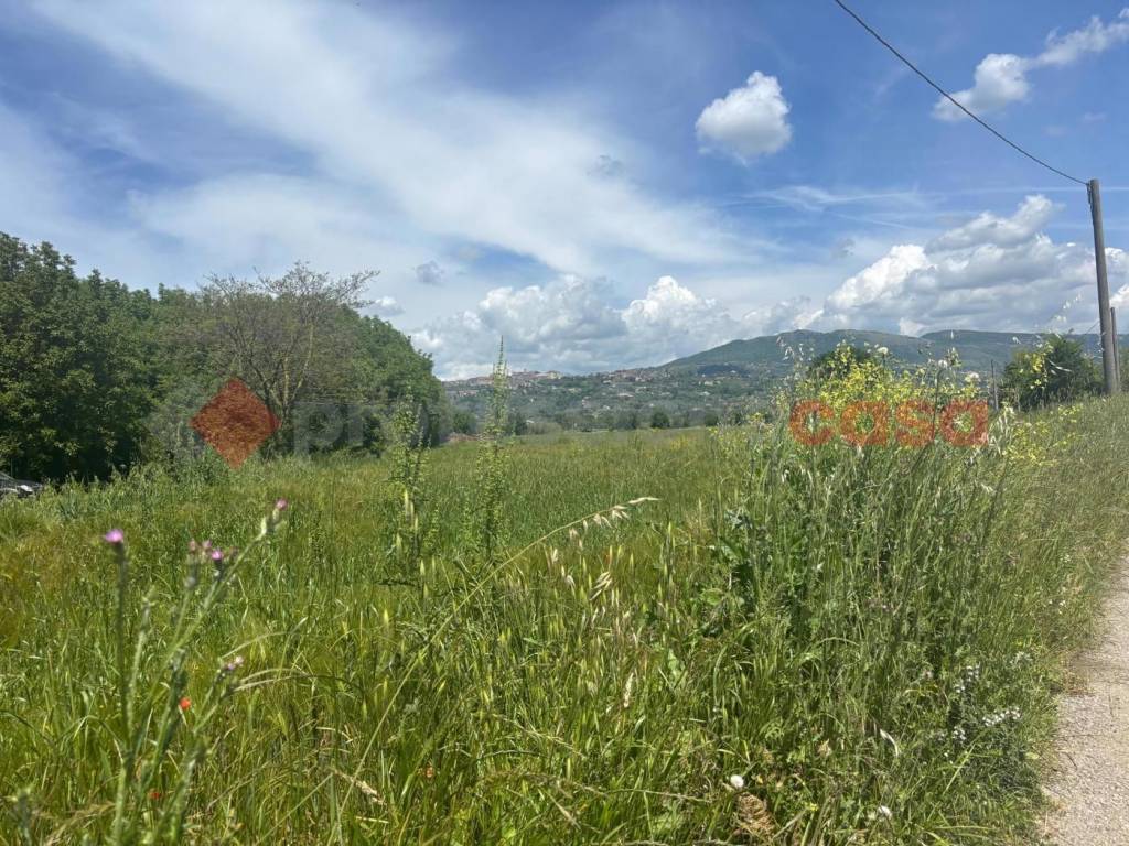 Terreno a Anagni in Via Ponte Degli Stivali, snc - Foto 3