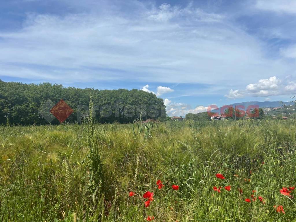 Terreno a Anagni in Via Ponte Degli Stivali, snc - Foto 4