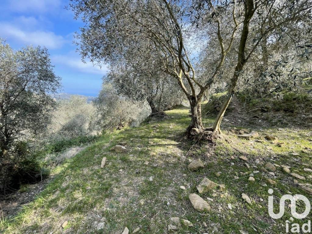 Terreno a Cipressa in LocalitÃ Lingueglietta, strada direzione FavÃ , 0 - Foto 2