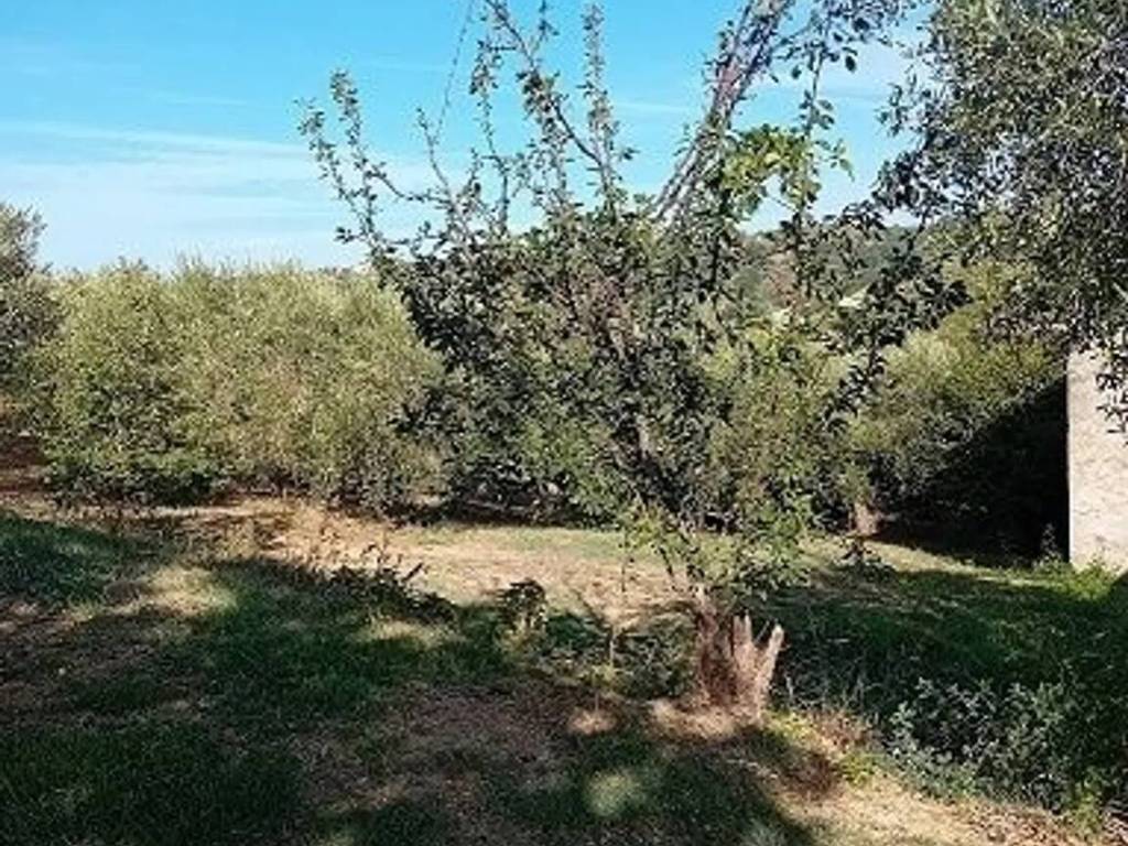 Box / garage a Miglianico in Contrada Montupoli Avenna - Foto 3