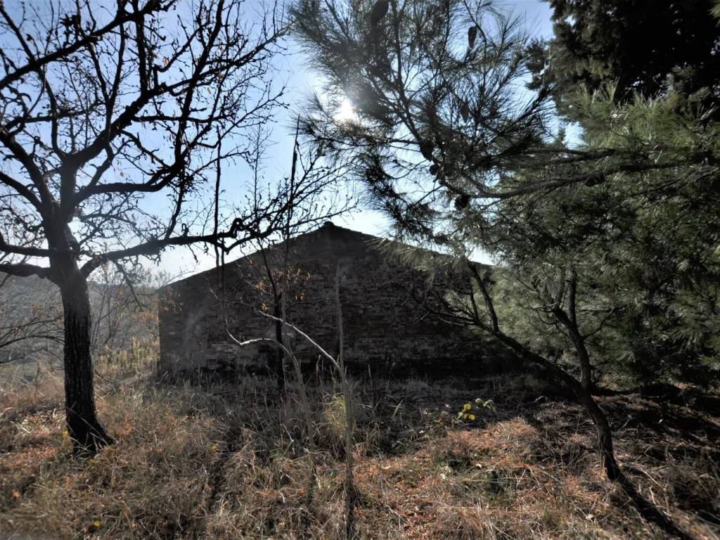 Rustico / casale a Spoltore - Foto 4