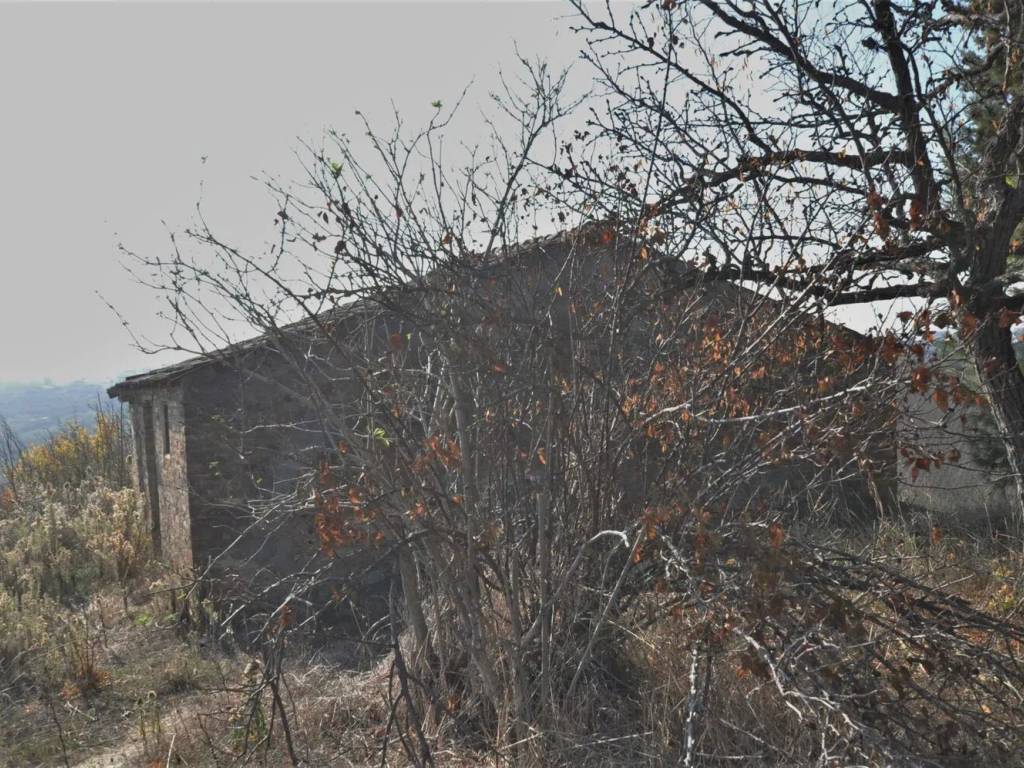 Rustico / casale a Spoltore - Foto 5