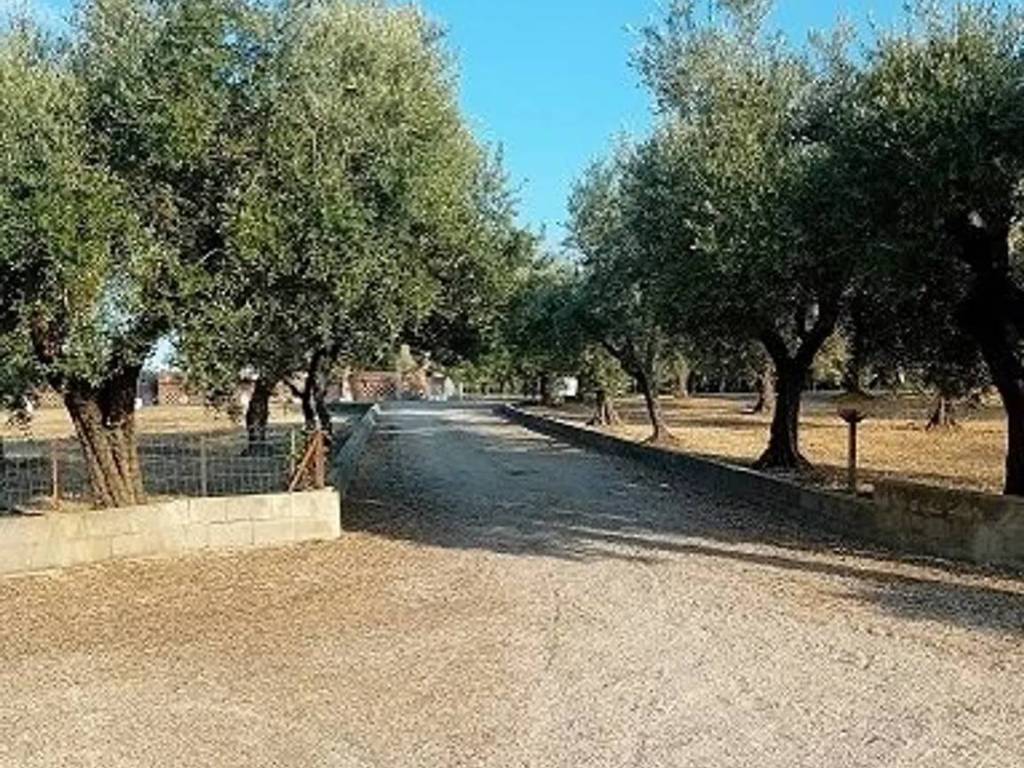 Rustico / casale a Arielli in Corso Savoia, 6 -12 - Foto 3