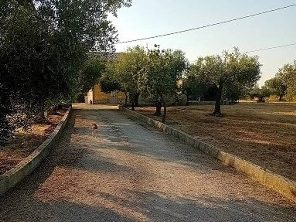 Rustico / casale a Arielli in Corso Savoia, 6 -12 - Foto 4