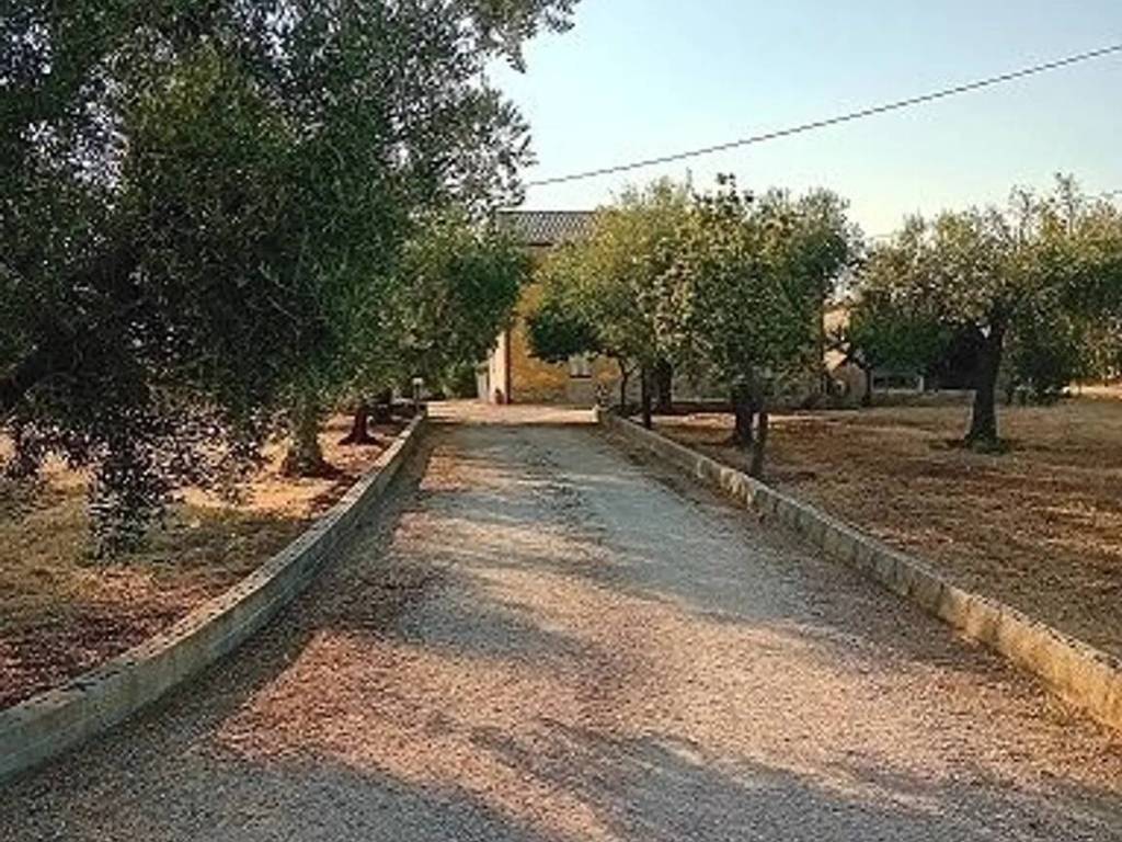 Rustico / casale a Arielli in Corso Savoia, 6 -12 - Foto 5