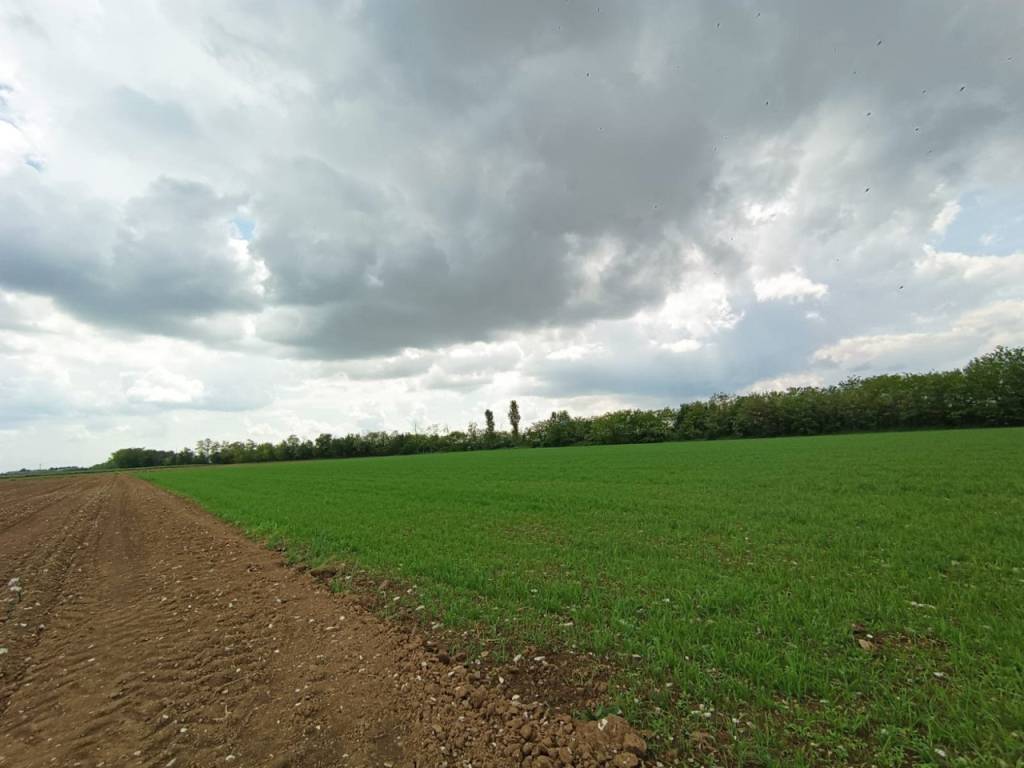 Terreno a Gussago in Via mariola 40 - Foto 2