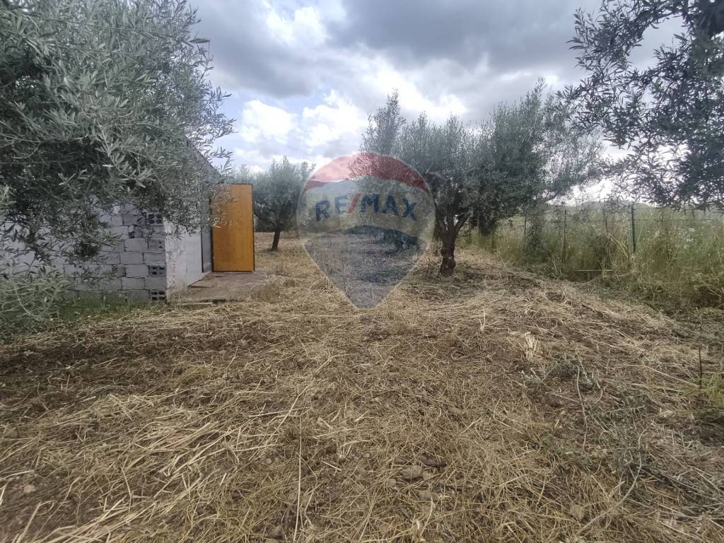 Terreno a Centuripe in Contrada Giannotta - Foto 3