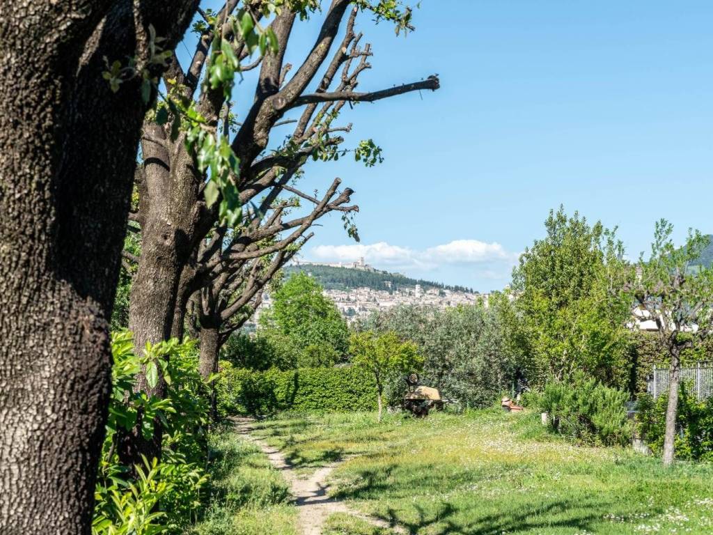 Villa a Assisi in Via Francesco di Bartolo, 5 - Foto 2