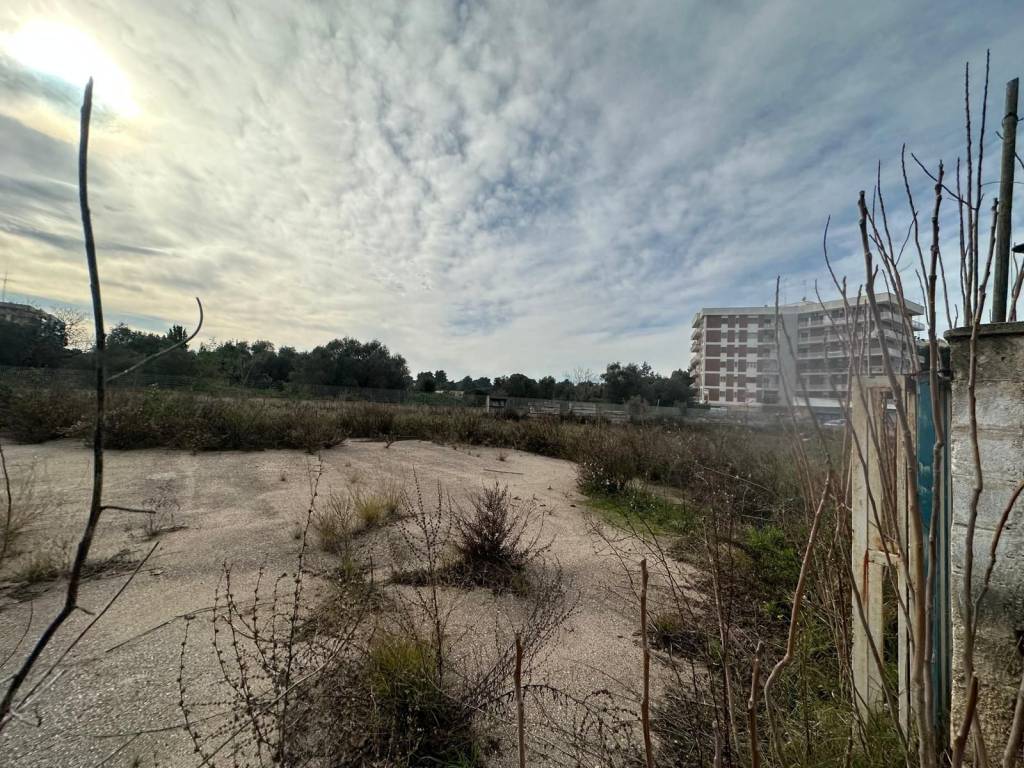 Terreno a Bari in Viale Luigi Einaudi - Foto 5