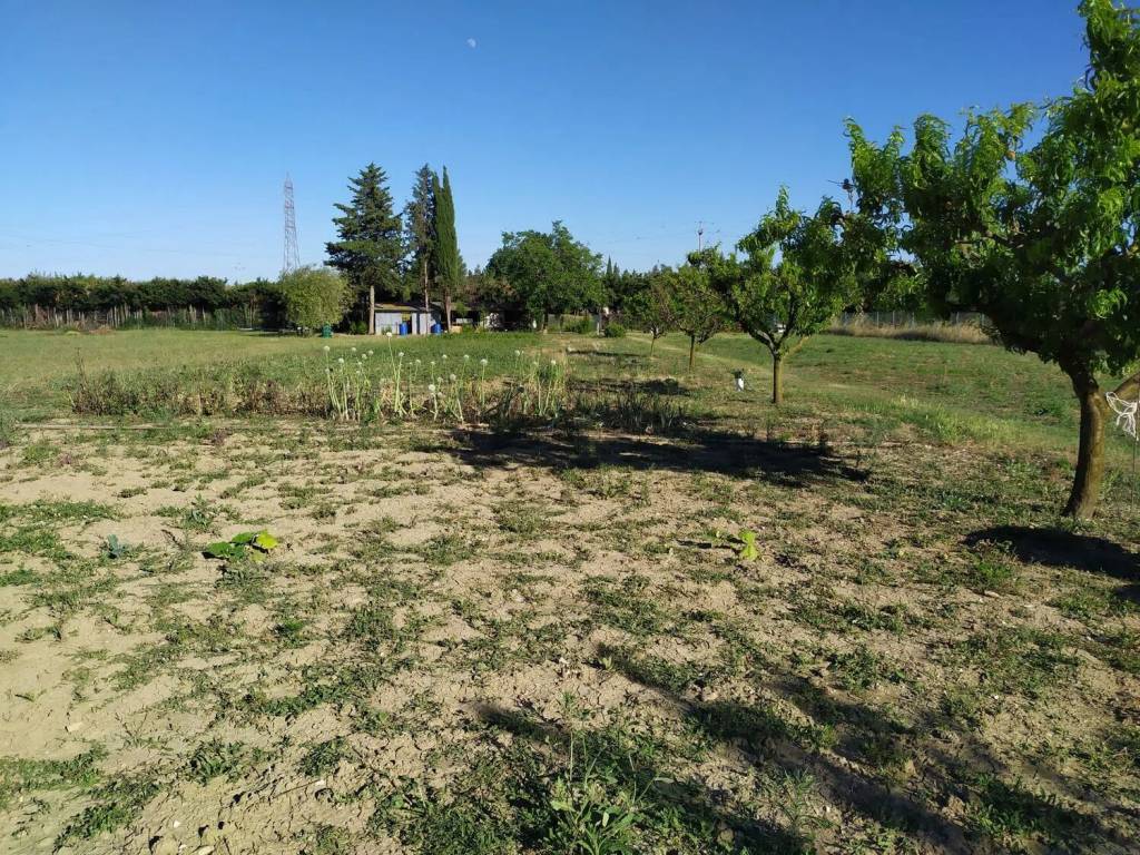 Terreno a Fano - Foto 2