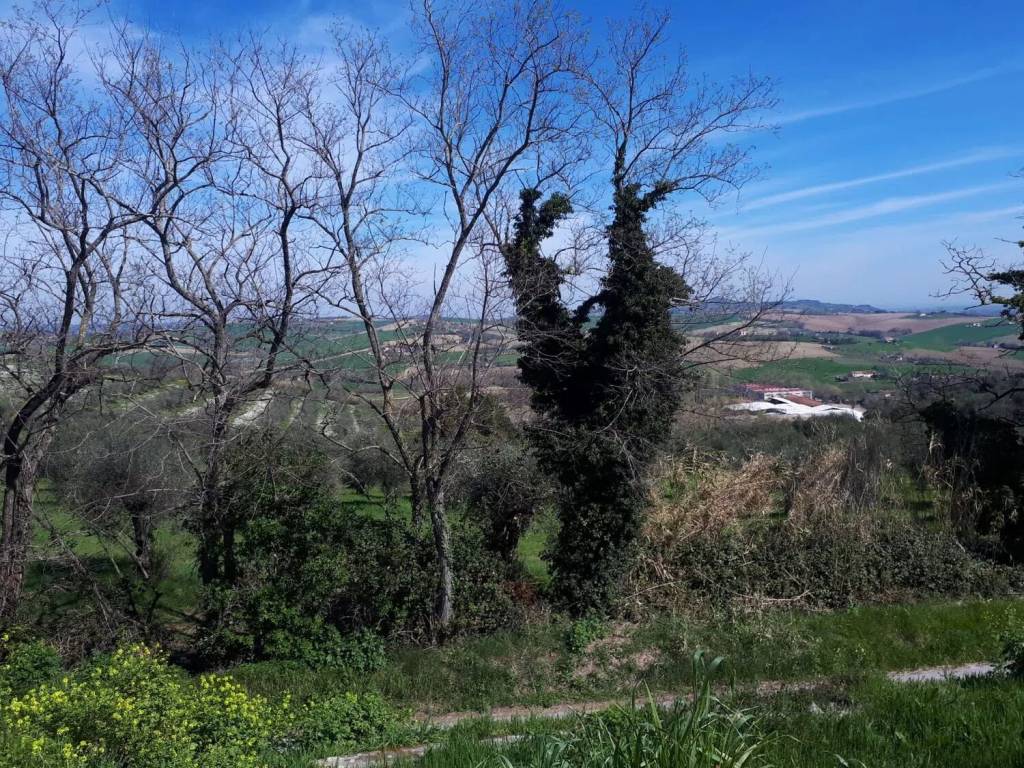 Villa a Cartoceto in Urb. Cartoceto Cartoceto - Foto 4