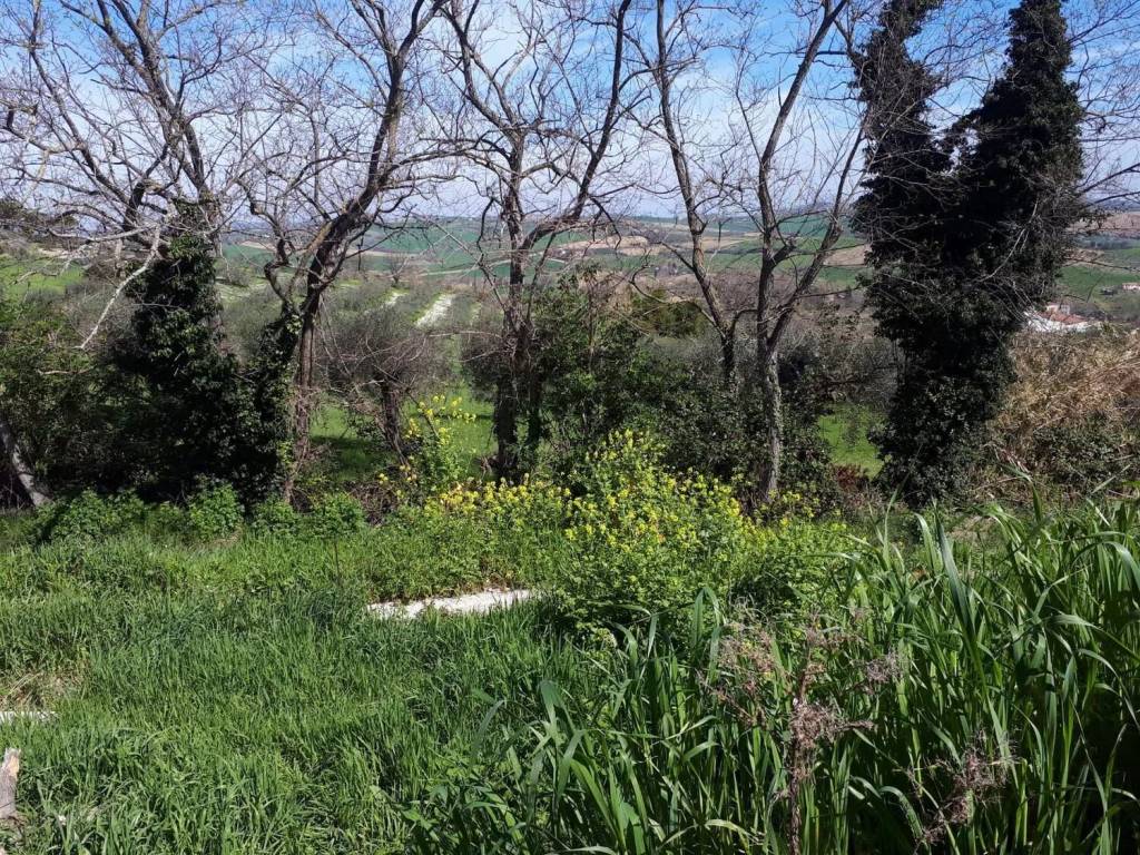 Villa a Cartoceto in Urb. Cartoceto Cartoceto - Foto 5