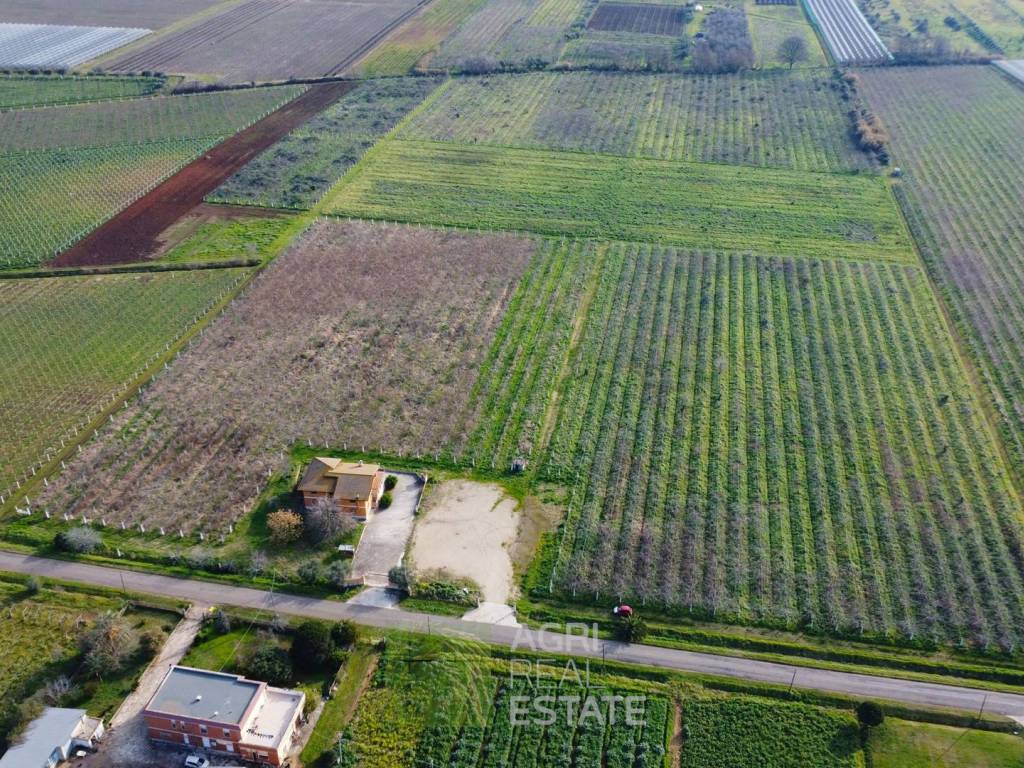 Terreno a Cisterna di latina in Via Reynolds, 60 - Foto 2