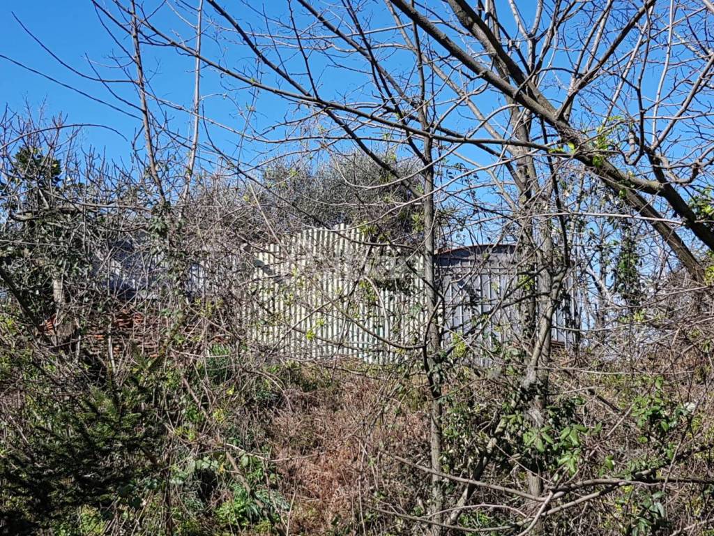 Rustico / casale a Vezzano ligure - Foto 4