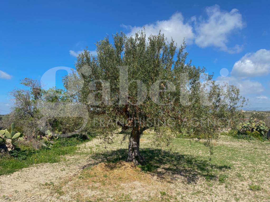 Terreno a Noto in Strada consortile s.lorenzo, . - Foto 5
