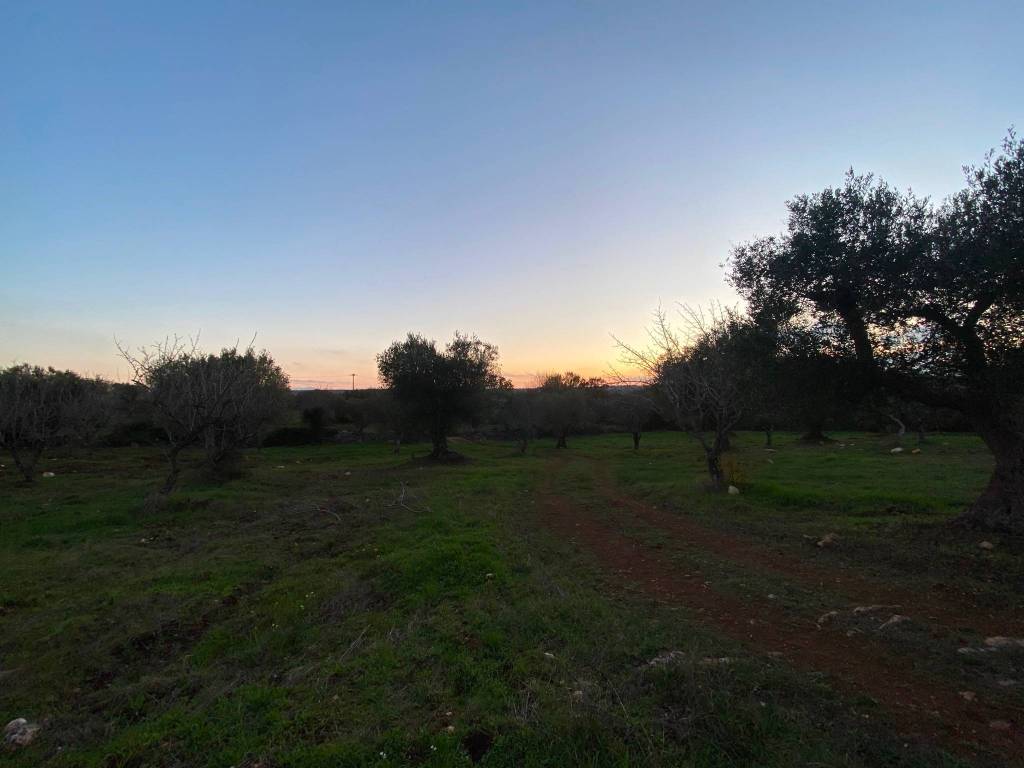 Rustico / casale a Ceglie messapica in SP14 - Foto 4