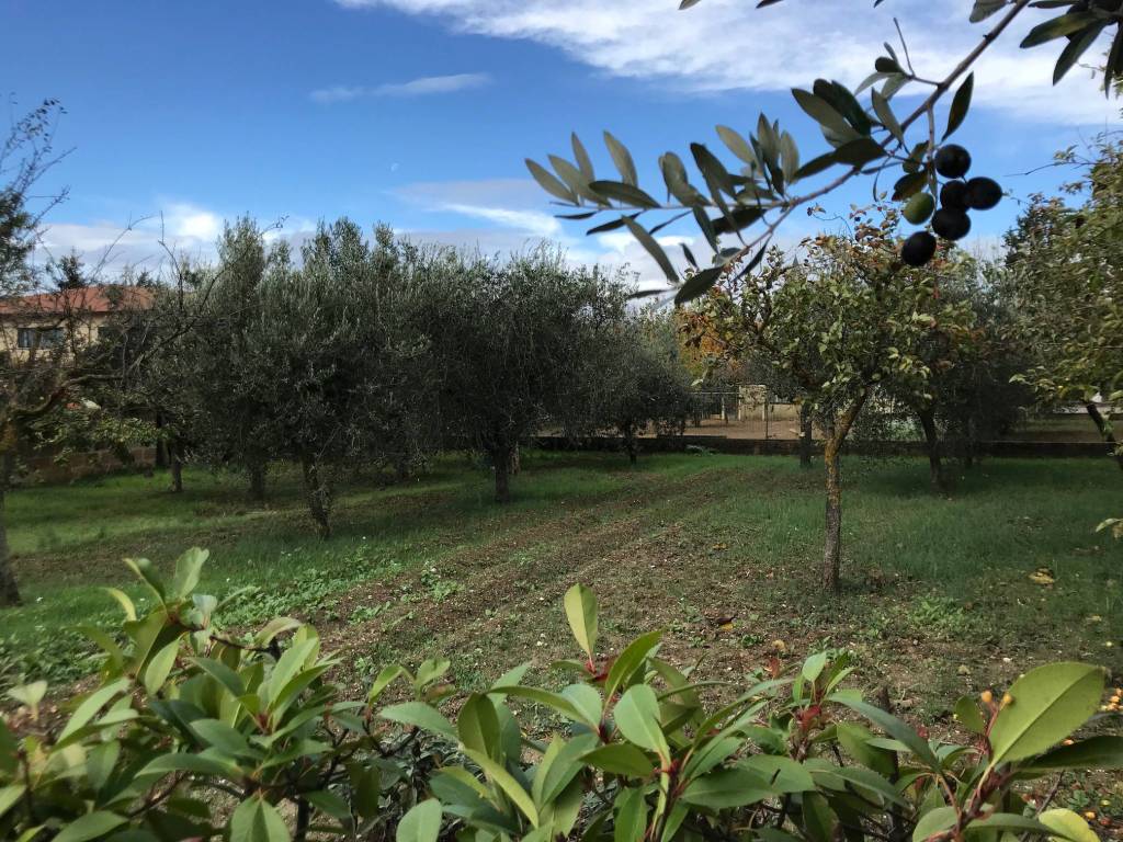 Terreno a Assisi in Via Fonte Vena - Foto 2