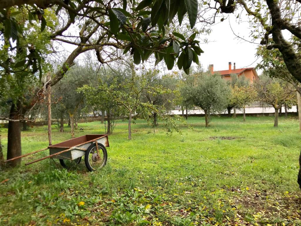 Terreno a Assisi in Via Fonte Vena - Foto 3
