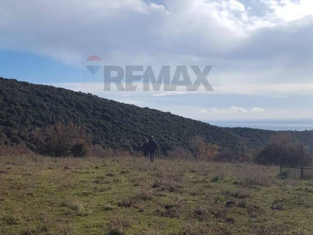 Terreno a Manfredonia in Contrada Tomaiuolo - Foto 3