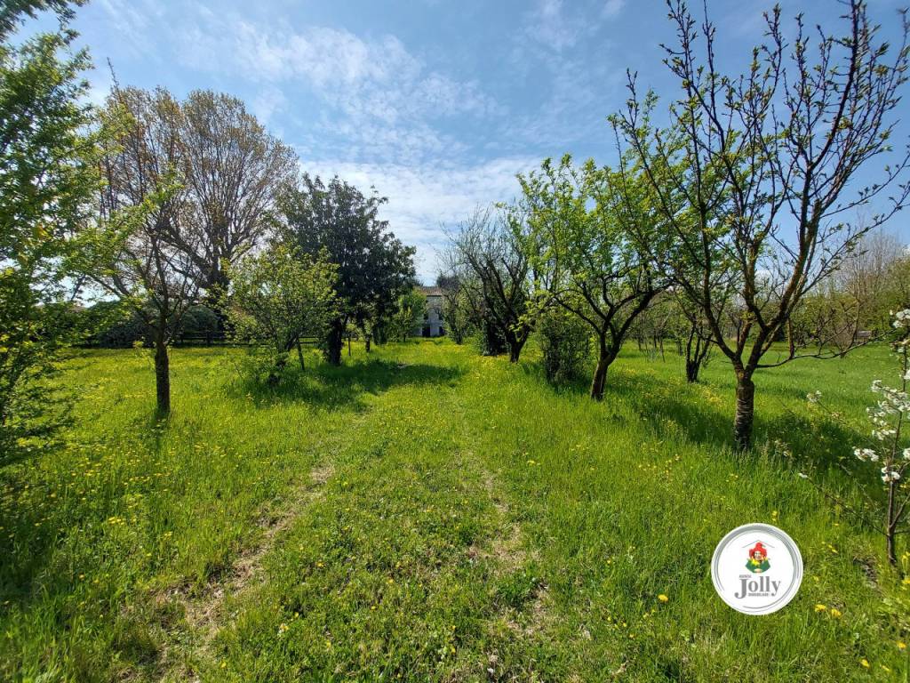 Villa a Arzergrande in VIa Roma - Foto 4