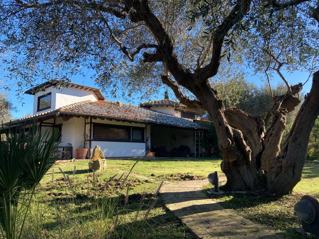 Villa a Orbetello - Foto 4