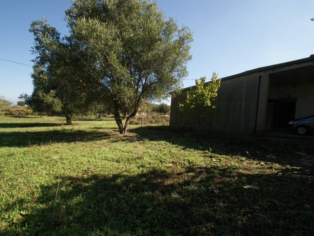 Rustico / casale a Briatico in SP85 - Foto 2