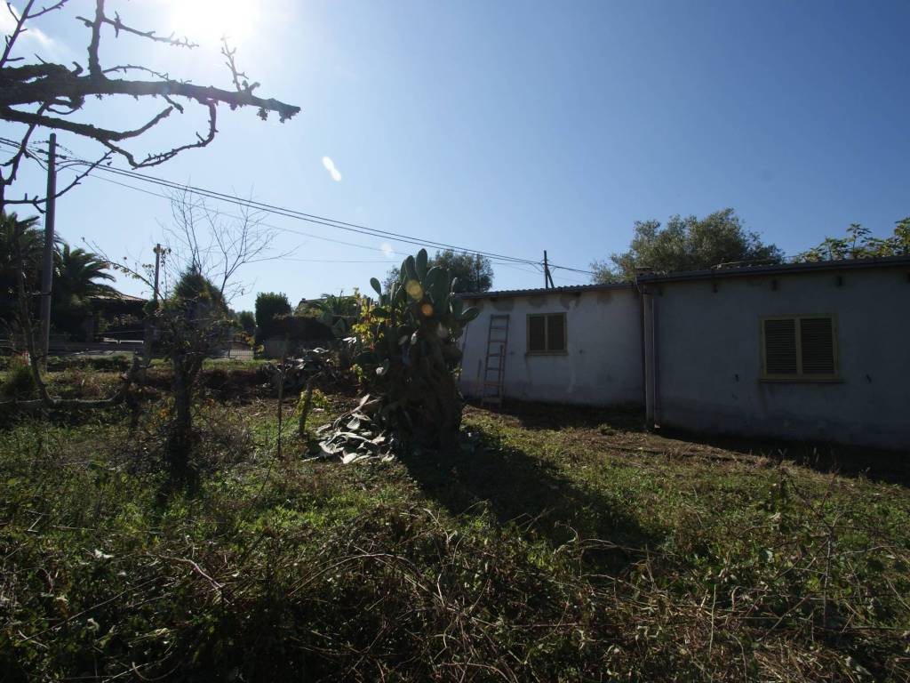 Rustico / casale a Briatico in SP85 - Foto 3