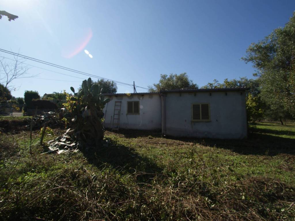 Rustico / casale a Briatico in SP85 - Foto 4