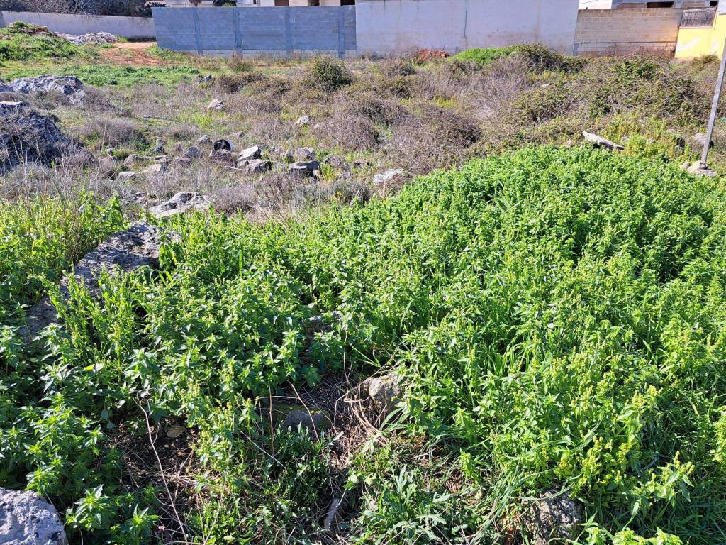 Terreno a Nardò in Via Luigi Mariano - Foto 2