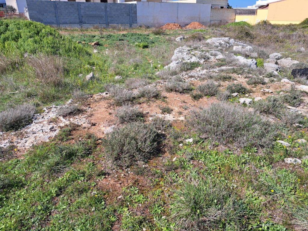 Terreno a Nardò in Via Luigi Mariano - Foto 4