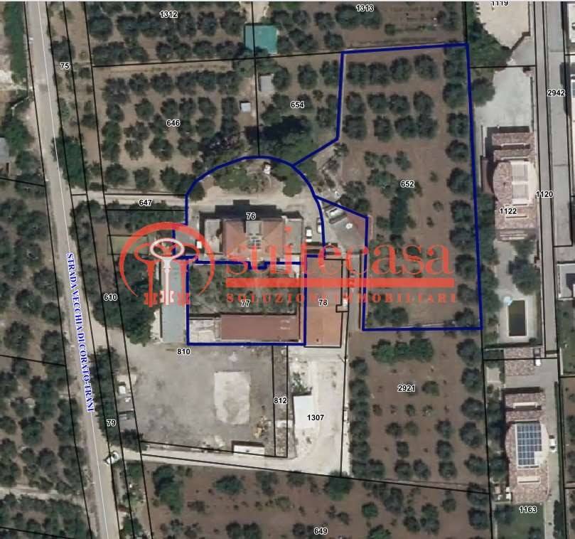 Terreno a Trani in vicinale via Vecchia Trani-Corato - Foto 2