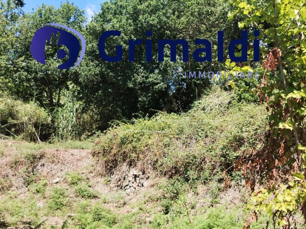 Terreno a Barano d'ischia - Foto 3