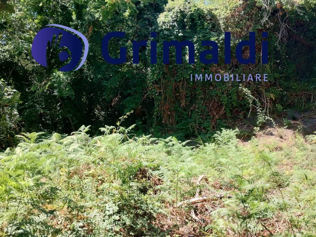 Terreno a Barano d'ischia - Foto 4