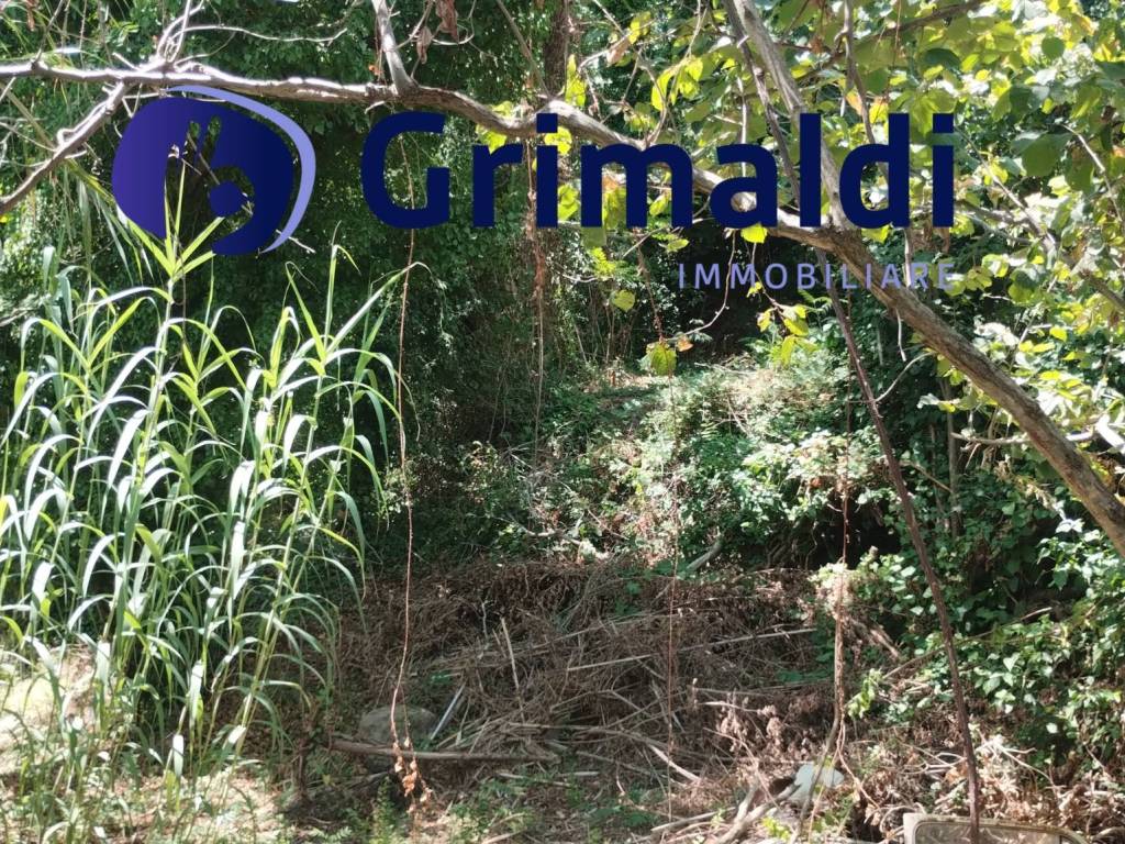 Terreno a Barano d'ischia - Foto 5