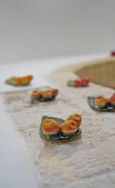 Casa indipendente a Carovigno in Via dei Gracchi - Foto 3