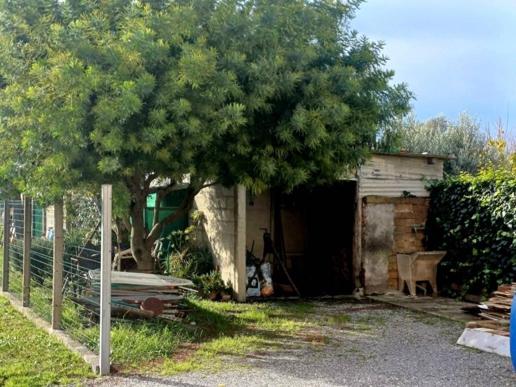 Casa indipendente a Cascina - Foto 2