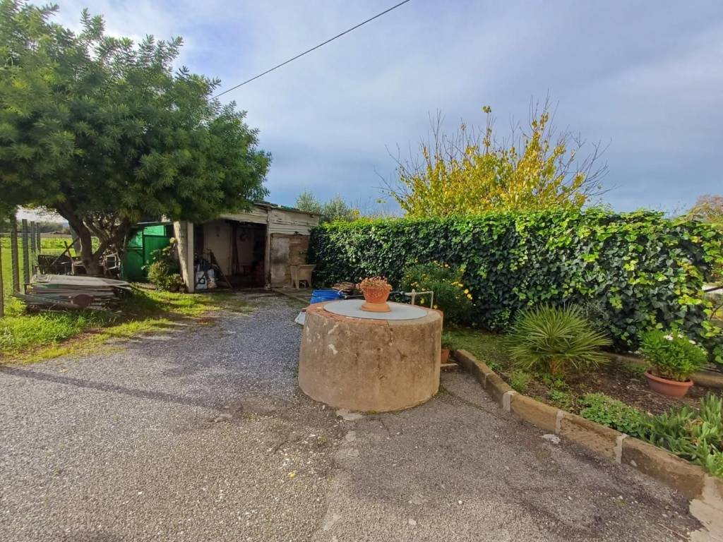 Casa indipendente a Cascina - Foto 5